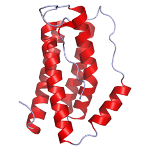 XyAPEX-Protease Inhibitors
